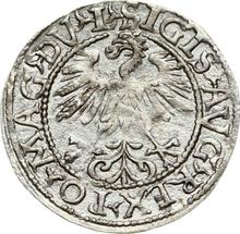 Полугрош (1/2 гроша) 1560    "Литва"