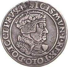 Szostak (6 groszy) 1535  TI  "Toruń"