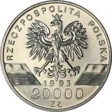 20000 złotych 1993 MW  ET "Jaskółki"