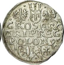 Trojak (3 groszy) 1595  IF SC VI  "Casa de moneda de Bydgoszcz"
