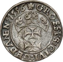 1 грош 1556    "Гданьск"