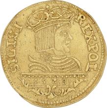Ducado 1528  CN 