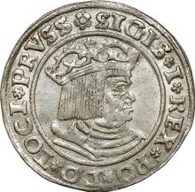 1 grosz 1529    "Toruń"