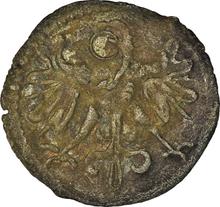 1 denario 1551 CWF   "Wschowa"