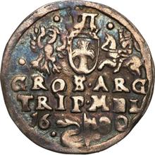 Trojak (3 groszy) 1600    "Lituania"