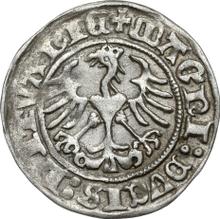Полугрош (1/2 гроша) 1511    "Литва"