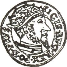 Ducat 1558    "Danzig"