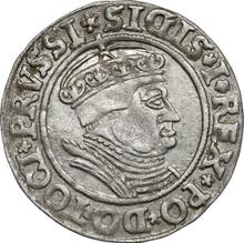 1 grosz 1535    "Toruń"