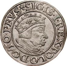 1 grosz 1537    "Gdańsk"