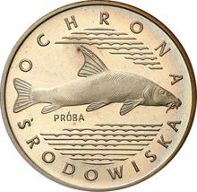 100 złotych 1977 MW   "Ryba Brzana" (PRÓBA)