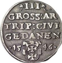 3 Groszy (Trojak) 1546    "Danzig"