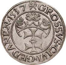 1 Groschen 1537    "Danzig"