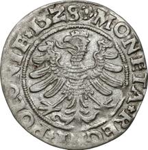1 grosz 1528   