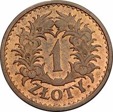 1 Zloty 1928    "Leaf wreath" (Pattern)