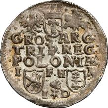 3 Groszy (Trojak) 1596  IF HR ID  "Poznań Mint"