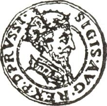 Ducat 1556    "Danzig"