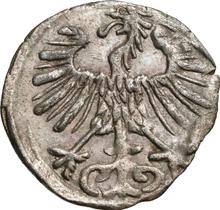 1 denario 1556    "Lituania"