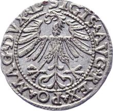 Полугрош (1/2 гроша) 1563    "Литва"