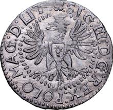 1 grosz 1615  HW  "Lituania"