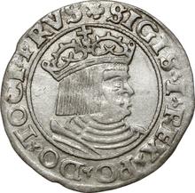1 grosz 1530    "Toruń"