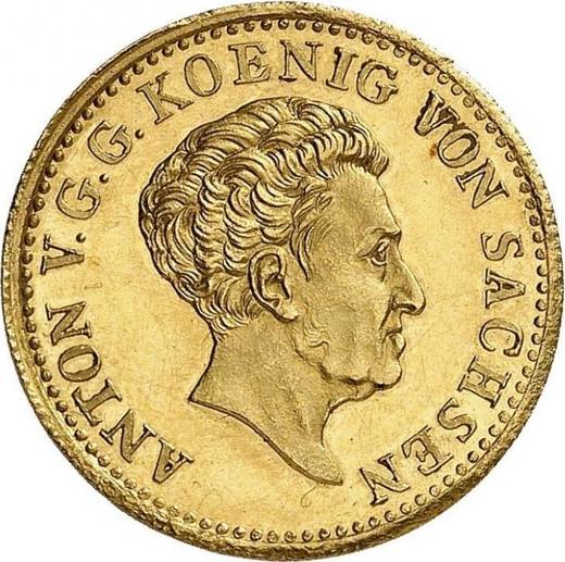 Anverso Ducado 1830 S - valor de la moneda de oro - Sajonia, Antonio