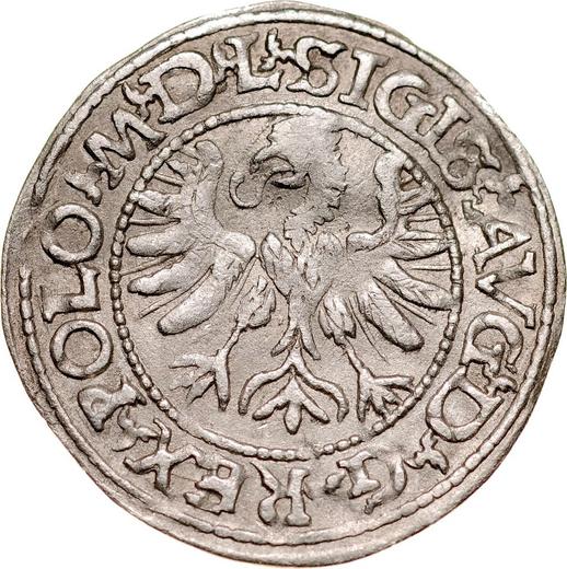Аверс монеты - Полугрош (1/2 гроша) 1566 года "Литва" - цена серебряной монеты - Польша, Сигизмунд II Август