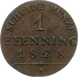 Реверс монеты - 1 пфенниг 1828 года A - цена  монеты - Пруссия, Фридрих Вильгельм III