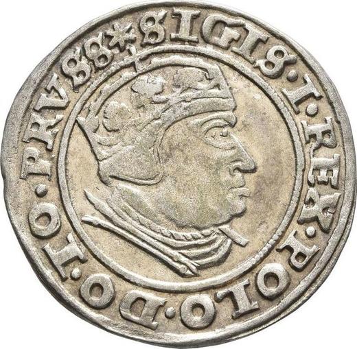 Аверс монеты - 1 грош 1540 года "Гданьск" - цена серебряной монеты - Польша, Сигизмунд I Старый