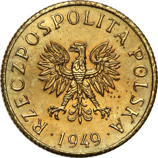 Reverse Pattern 1 Grosz 1949 Brass -  Coin Value - Poland, Peoples Republic