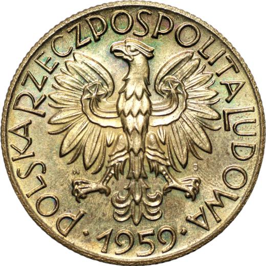 Аверс монеты - Пробные 5 злотых 1959 года WJ JG "Рыбак" Латунь - цена  монеты - Польша, Народная Республика