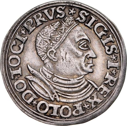 Avers 3 Gröscher 1532 "Thorn" - Silbermünze Wert - Polen, Sigismund der Alte