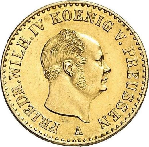 Аверс монеты - 1/2 фридрихсдора 1853 года A - цена золотой монеты - Пруссия, Фридрих Вильгельм IV