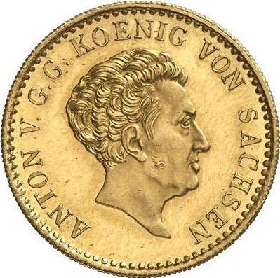 Аверс монеты - 5 талеров 1829 года S - цена золотой монеты - Саксония-Альбертина, Антон