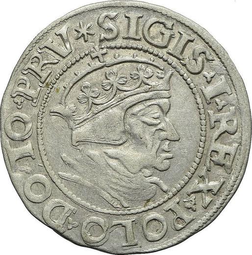 Аверс монеты - 1 грош 1548 года "Гданьск" - цена серебряной монеты - Польша, Сигизмунд I Старый