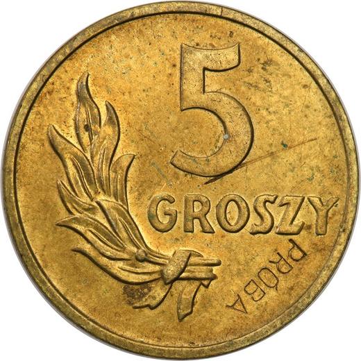 Реверс монеты - Пробные 5 грошей 1949 года Латунь - цена  монеты - Польша, Народная Республика