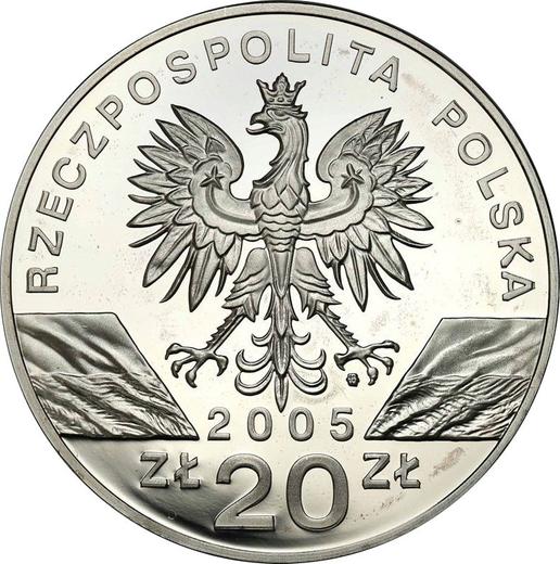 Аверс монеты - 20 злотых 2005 года MW AN "Филин" - цена серебряной монеты - Польша, III Республика после деноминации