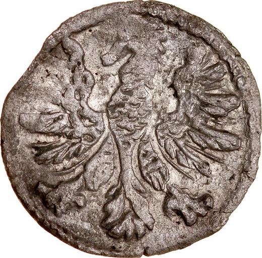 Аверс монеты - Денарий 1546 "Литва" - Польша, Сигизмунд II Август
