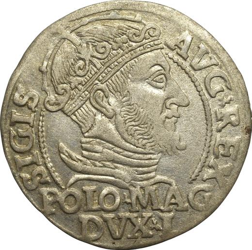 Awers monety - 1 grosz 1547 "Litwa" - cena srebrnej monety - Polska, Zygmunt II August