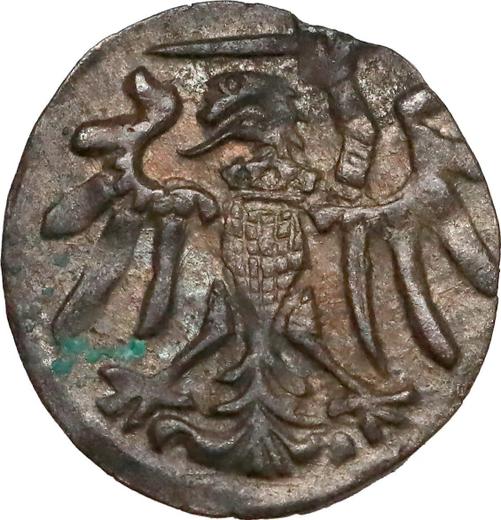 Аверс монеты - Денарий 1556 года "Гданьск" - цена серебряной монеты - Польша, Сигизмунд II Август