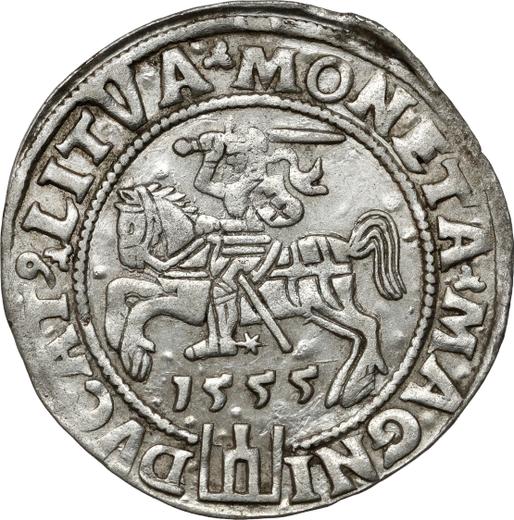 Rewers monety - 1 grosz 1555 "Litwa" - cena srebrnej monety - Polska, Zygmunt II August