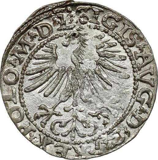Awers monety - Półgrosz 1564 "Litwa" - cena srebrnej monety - Polska, Zygmunt II August