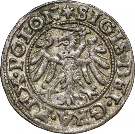 Реверс монеты - Шеляг 1546 года "Гданьск" - цена серебряной монеты - Польша, Сигизмунд I Старый
