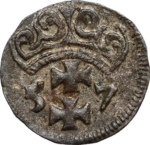 Rewers monety - Denar 1557 "Gdańsk" - cena srebrnej monety - Polska, Zygmunt II August
