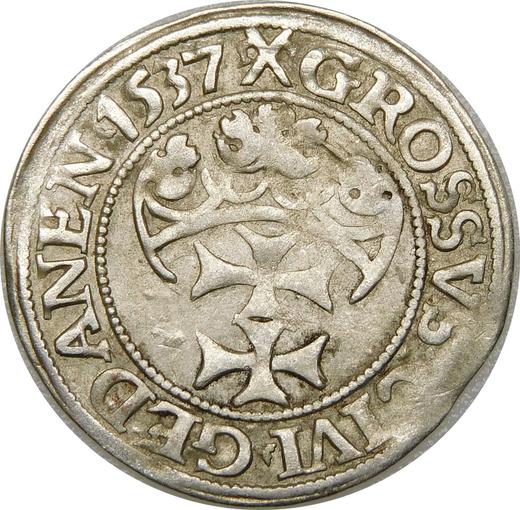 Реверс монеты - 1 грош 1537 года "Гданьск" - цена серебряной монеты - Польша, Сигизмунд I Старый