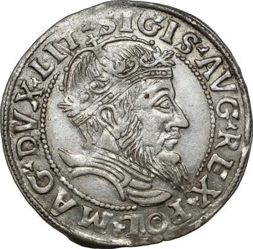 Аверс монеты - 1 грош 1555 года "Литва" - цена серебряной монеты - Польша, Сигизмунд II Август