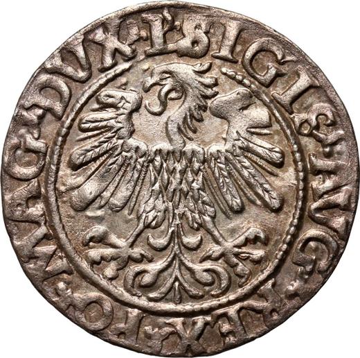 Аверс монеты - Полугрош (1/2 гроша) 1559 года "Литва" - цена серебряной монеты - Польша, Сигизмунд II Август