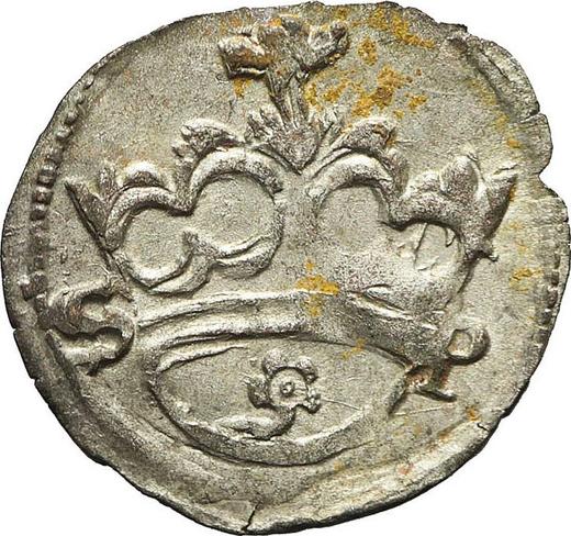 Аверс монеты - Денарий без года (1506-1548) SP - цена серебряной монеты - Польша, Сигизмунд I Старый