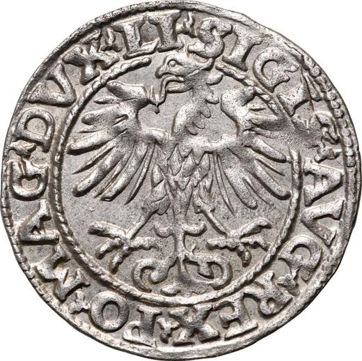 Аверс монеты - Полугрош (1/2 гроша) 1554 года "Литва" - цена серебряной монеты - Польша, Сигизмунд II Август