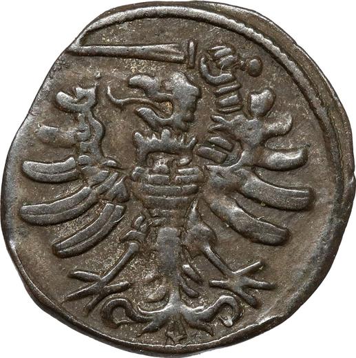 Rewers monety - Denar bez daty (1506-1548) "Toruń" - cena srebrnej monety - Polska, Zygmunt I Stary