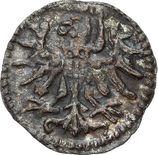 Awers monety - Denar 1555 "Gdańsk" - cena srebrnej monety - Polska, Zygmunt II August